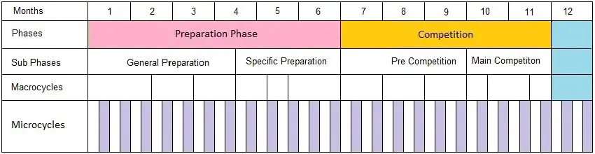 what is periodization